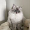 mariam364